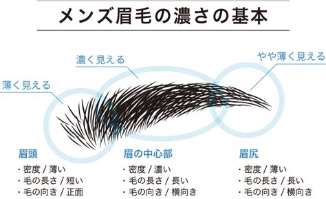 眉短 男|永久保存版｜メンズ眉毛の正しい整え方 2021